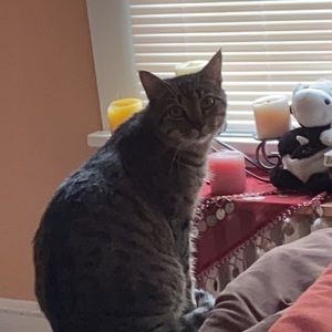 Meet your Posher, Taylor